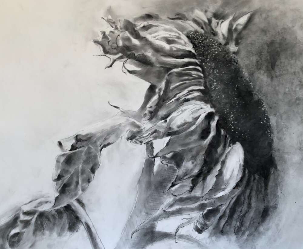 Featured Artwork